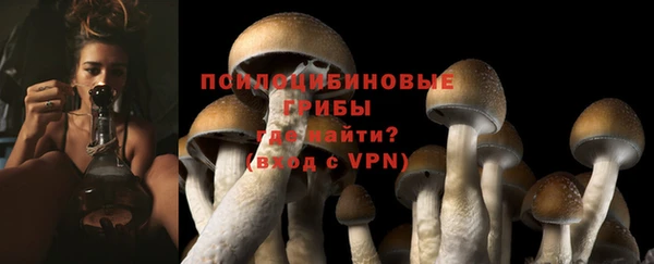jwh Медногорск