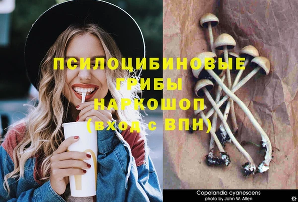 мет Медвежьегорск