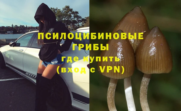 ALPHA-PVP Мегион
