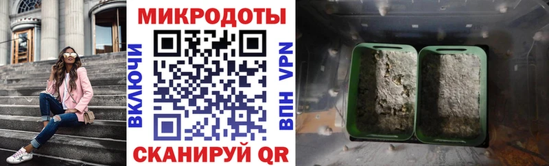 Галлюциногенные грибы GOLDEN TEACHER  ссылка на мегу онион  Северск 
